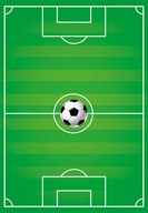 DIGITÁLNY koberec 60 x 100 CM UEFA PITCH NOVÝ HIT DIGITÁLNY koberec 60 x 100 CM UEFA PITCH NOVÝ HIT