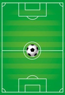 DIGITÁLNY koberec 60 x 100 CM UEFA PITCH NOVÝ HIT