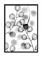 OBRAZOVÝ PLAGÁT V RÁME 53x73 cm Hloh P545 OBRAZOVÝ PLAGÁT V RÁME 53x73 cm Hloh P545