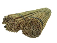 Bambusová tyč 45 cm 8/10 mm /1000 ks/, podp