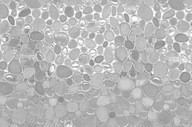 Fólia STATIC WINDOW 90x150 kruhov Fólia STATIC WINDOW 90x150 kruhov