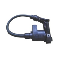 ZAPAĽOVACIA CIEVKA + KUS Quad CAN-AM DS 250 OEM! ZAPAĽOVACIA CIEVKA + KUS Quad CAN-AM DS 250 OEM!