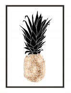 OBRAZOVÝ PLAGÁT V RÁME 43x33 cm Ananás P1230 OBRAZOVÝ PLAGÁT V RÁME 43x33 cm Ananás P1230