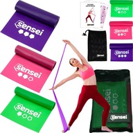 SADA 3 ODPOROV NA CVIČENIE, JOGU A REHABILITÁCIU, Sensei Long Resistance Bands SADA 3 ODPOROV NA CVIČENIE, JOGU A REHABILITÁCIU, Sensei Long Resistance Bands