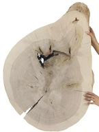POPOL WOOD SLICE TOP UNIQUE 142100 POPOL WOOD SLICE TOP UNIQUE 142100