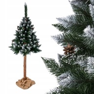 Vianočný stromček na kmeni Borovica diamantová 190cm so šiškami