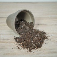 Zemina pre substrát Hoya Peperomia Pieniążka 13L PRO Zemina pre substrát Hoya Peperomia Pieniążka 13L PRO