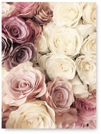 ROSE FLOWERS plagát A1 59,4x84,1 cm #104 ROSE FLOWERS plagát A1 59,4x84,1 cm #104