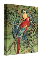 Obraz na plátne Vintage Parrots Parrots 30x40 cm