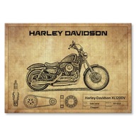 Darčekový L kovový plagát Harley-Davidson XL1200V Darčekový L kovový plagát Harley-Davidson XL1200V