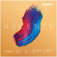 STRUNKY PRE HUSLE 3/4 D'ADDARIO ASCENTE SET STRUNKY PRE HUSLE 3/4 D'ADDARIO ASCENTE SET
