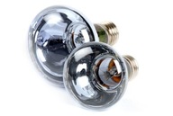 RepTech 25W výhrevná žiarovka do terária pre jaštericu a korytnačku RepTech 25W výhrevná žiarovka do terária pre jaštericu a korytnačku