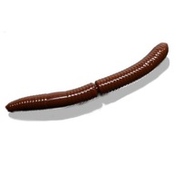Libra Lures Worm Fatty D'Worm 65 Cheese BROWN Libra Lures Worm Fatty D'Worm 65 Cheese BROWN