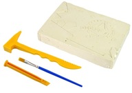 Set Excavation Exploring Rocks Copal Minerals Set Excavation Exploring Rocks Copal Minerals