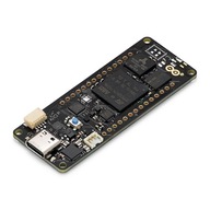 Arduino Portenta H7 Lite