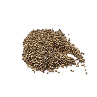 Konope zrno 5 kg pre vtáky alebo ako groundbait Konope zrno 5 kg pre vtáky alebo ako groundbait