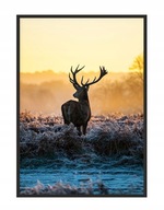 OBRAZOVÝ PLAGÁT V RÁME 53x73 cm Jeleň P1508 OBRAZOVÝ PLAGÁT V RÁME 53x73 cm Jeleň P1508