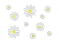 Nažehľovacia súprava NÁŠIVKY DAISIES FLOWERS Nažehľovacia súprava NÁŠIVKY DAISIES FLOWERS