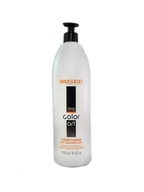 CHANTAL PROSALON ART COLOR KONDICIONÉR PO FARBENÍ 1000 ML CHANTAL PROSALON ART COLOR KONDICIONÉR PO FARBENÍ 1000 ML