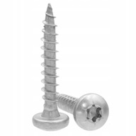 Lentikulárne skrutky do dreva 4x20 Torx A2 10 KS Lentikulárne skrutky do dreva 4x20 Torx A2 10 KS