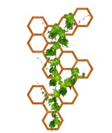 Podporná rastlina kvetu rebríčka Corten Honey Garden