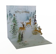 Vianočná pohľadnica 3D Kolouchy zima a vianočný stromček