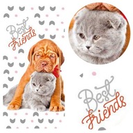 Detská osuška s licenciou Best Friends 70x140 Detská osuška s licenciou Best Friends 70x140