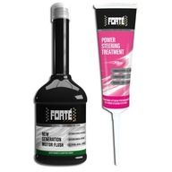 FORTE Chyby v systéme posilňovača riadenia FORTE Chyby v systéme posilňovača riadenia