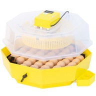 Inkubátor pre 60 vajec, liaheň a liaheň Cleo5