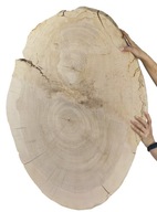 POPOL WOOD SLICE TOP UNIQUE 143337 POPOL WOOD SLICE TOP UNIQUE 143337