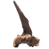 Africký železný koreň pre akvárium 29x13x12cm L120