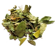 MORINGA OLEIFERA LIST 500g MORINGA OLEIFERA LIST 500g