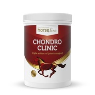 Silné kĺby a šľachy HorseLinePRO ChondroClinic