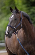 HORSE HEDHALLER FULL NAVY COVALLIERO HORSE HEDHALLER FULL NAVY COVALLIERO