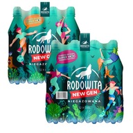 RODOWITA 24x 0,6l Minerálna voda neperlivá Šport RODOWITA 24x 0,6l Minerálna voda neperlivá Šport