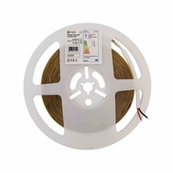 LED pás neutrálny 5m 50W Eco-light