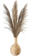 PRÍRODNÁ BOHO KÁVA PAMPASS GRASS 120CM 5KS PRÍRODNÁ BOHO KÁVA PAMPASS GRASS 120CM 5KS