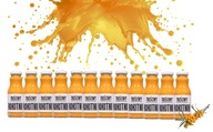 rakytníková šťava 100% ovocie pre zdravie 12x250ml rakytníková šťava 100% ovocie pre zdravie 12x250ml