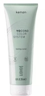 KEMON YO COND FARBACÍ KONDICIONÉR STRIEBORNÝ 250 KEMON YO COND FARBACÍ KONDICIONÉR STRIEBORNÝ 250