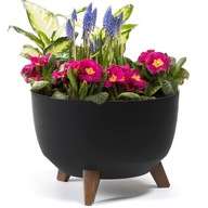KVETINÁČ KVIETNICA MISKA ZÁHRADNÁ VLOŽKA 33cm KVETINÁČ KVIETNICA MISKA ZÁHRADNÁ VLOŽKA 33cm