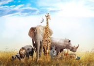 TAPETA NA NÁSTEN AFRICA ANIMALS 400x280 g-B-0083-a-a