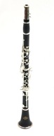 Roy Benson CB-317 Bb klarinet s puzdrom