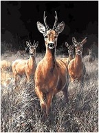 Maľba MAĽBA PODĽA ČÍSEL PRE DETI JELEŇ 30x40 SET S RÁMOM Maľba MAĽBA PODĽA ČÍSEL PRE DETI JELEŇ 30x40 SET S RÁMOM