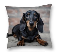 VANKÚŠ so psíkom ČIERNY JAZVEČÍK MÄKKÝ na spanie 40x40 perfektný DARČEK VANKÚŠ so psíkom ČIERNY JAZVEČÍK MÄKKÝ na spanie 40x40 perfektný DARČEK