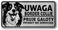 Prihlásiť pozornosť psovi border kolie v Sliezsku Prihlásiť pozornosť psovi border kolie v Sliezsku