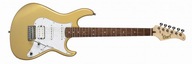 Elektrická gitara CORT G250 GGM