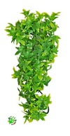Zoo Med Congo Ivy S umelá rastlina do terária dekor 36 cm