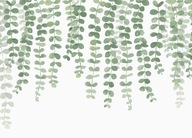 Fototapeta Ivy Leaves do kuchyne 320x230 cm
