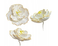 Cukrový kvet "Camellia" BIELA A ZLATÁ Sla Cukrový kvet "Camellia" BIELA A ZLATÁ Sla