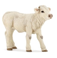 CHAROLAISE CALF, PAPO CHAROLAISE CALF, PAPO